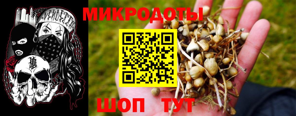 Урус-Мартан  Псилоцибиновые грибы Magic Shrooms  магазин    Вход с VPN 